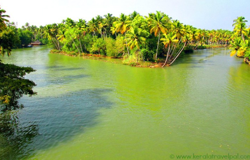 kovalam sea view hotels