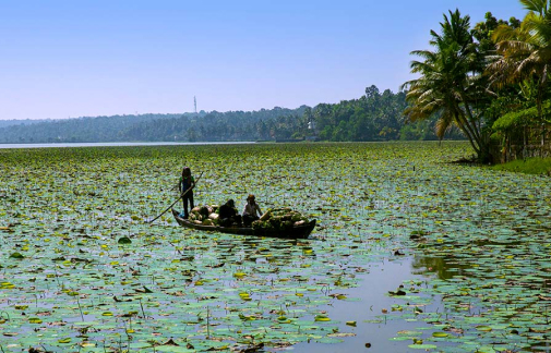 kovalam sea view hotels